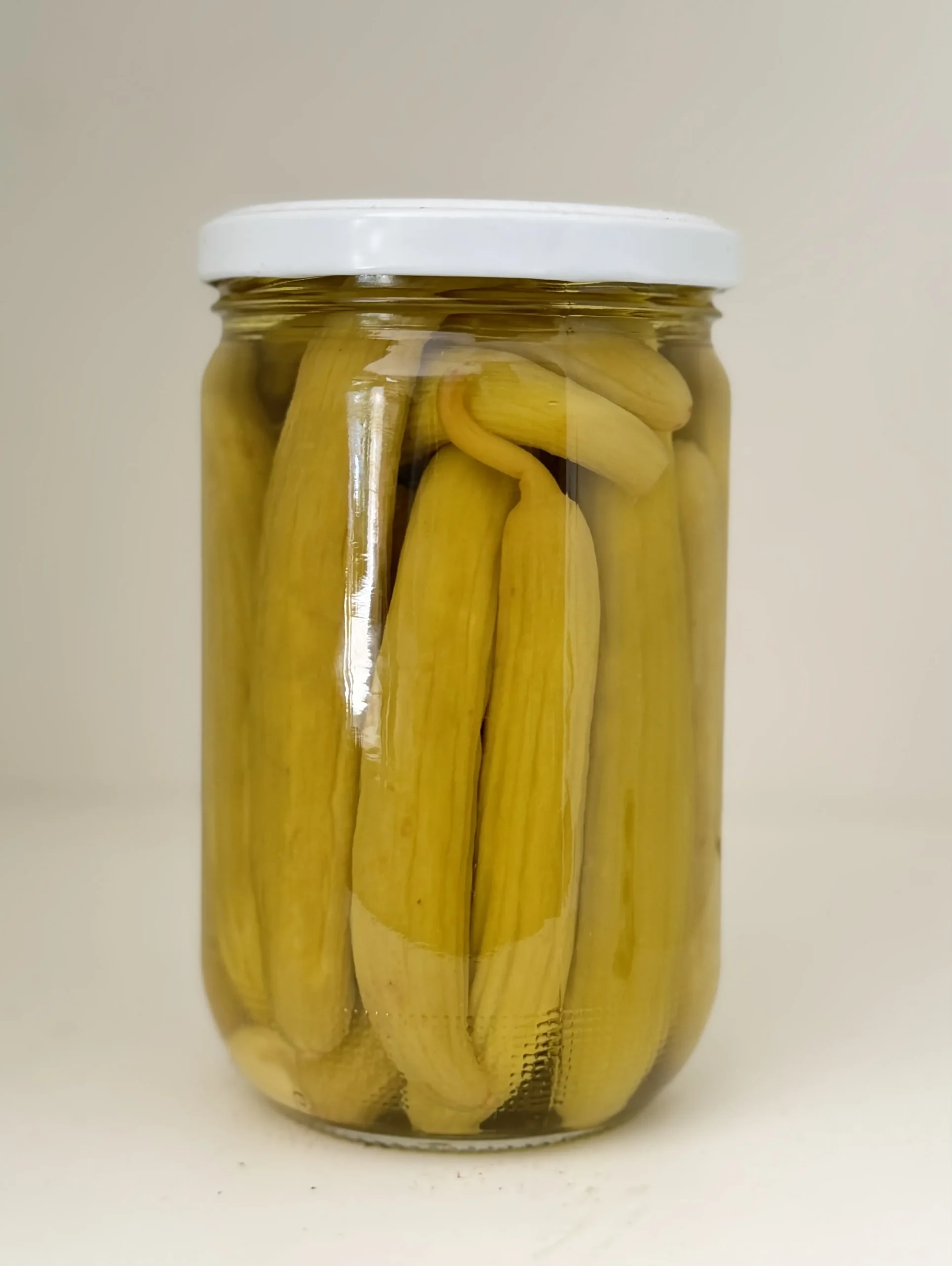 كبيس مقتى